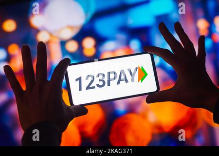 Brasile. 02nd Nov 2022. In questa illustrazione, il logo UPI 123PAY viene visualizzato sullo schermo di uno smartphone. (Foto di Rafael Henrique/SOPA Images/Sipa USA) Credit: Sipa USA/Alamy Live News Foto Stock