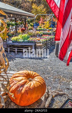 La bandiera americana sorvola l'esposizione della zucca in un mercato stradale e vivaio soffiando Rock nelle montagne del North Carolina. Foto Stock