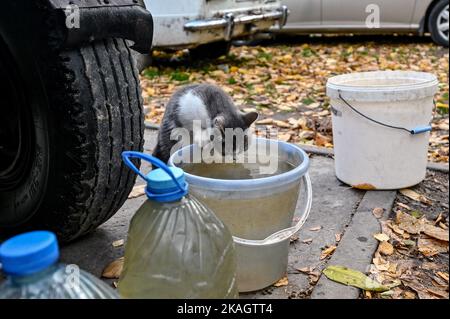 Non esclusivo: STEPNOHIRSK, UCRAINA - 2 NOVEMBRE 2022 - Un gatto beve acqua da un secchio che è stato consegnato da un agricoltore a residenti locali come il th Foto Stock