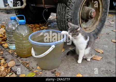 Non esclusivo: STEPNOHIRSK, UCRAINA - 2 NOVEMBRE 2022 - Un gatto siede da un secchio di acqua che è stato consegnato da un agricoltore a residenti locali come il Foto Stock