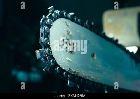 Catena della motosega sul primo piano dello pneumatico. Denti di sega per il taglio del legno su uno sfondo sfocato. Attrezzo agricolo Foto Stock