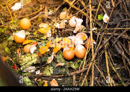 Gusci di uovo e spreco umano organico ed altro su un cumulo di composto. Uso razionale secondario dei rifiuti alimentari per la trasformazione in concime per letti da giardino. Foto Stock