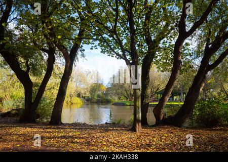 Un giorno soleggiato di fine autunno a Locke Park Lake Redcar North Yorkshire con foglie che diventano marrone sugli alberi di salice Foto Stock