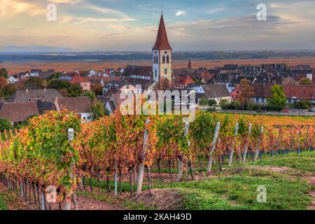 Ammerschwihr, Alsazia, Alto Reno, Grand Est, Francia Foto Stock