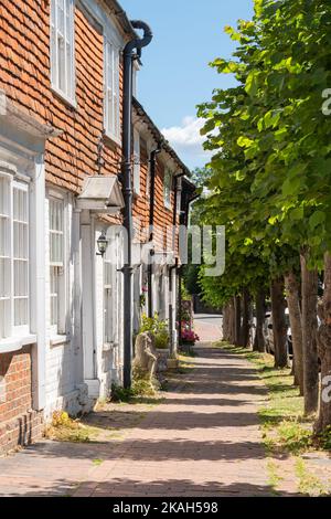 High Street cottage e alberi di calce - Burwash, East Sussex, Inghilterra, Regno Unito Foto Stock