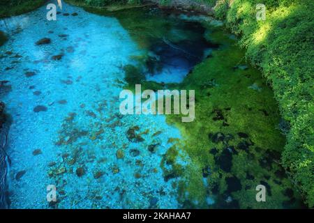 Blue Eye, profonda grotta carsica del fiume Bistricë, Albania. Limpido, verde-blu, acqua fresca, vista pittoresca della natura pura, aerea, perpendi Foto Stock