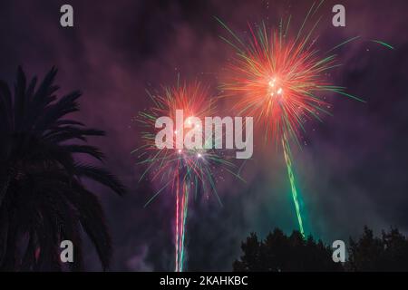 Vista panoramica dei fuochi d'artificio a forma di palma nel sud della Francia Foto Stock