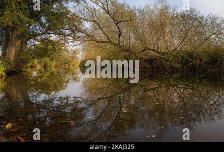 Bellezza di Dedham vale al confine Essex-Suffolk. Area di straordinaria bellezza naturale. River Stour. Foto Stock