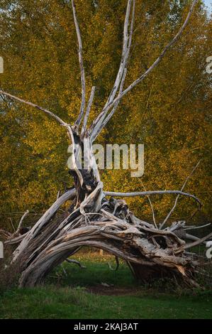 Bellezza di Dedham vale al confine Essex-Suffolk. Area di straordinaria bellezza naturale. River Stour. Foto Stock