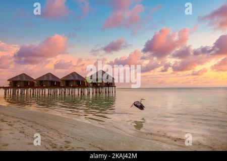 Stupendo cielo colorato tramonto con nuvole orizzonte mare. Ville sull'acqua alle Maldive con fauna selvatica all'alba. Sogno di viaggio paesaggio, fantastico Foto Stock