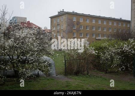 Un edificio in via Wyzwolenia è visto che è stato assegnato come un rifugio potenziale per i rifugiati in cerca di asilo, a Danzica, Polonia, il 13 aprile 2016. L'edificio, situato nel quartiere di Nowy Port (New Port) della città potrebbe ospitare circa 150 rifugiati. La gente del posto teme che l'alloggio dei rifugiati stigmatizzi le aree residenziali. Accogliere i rifugiati è un'idea impopolare in Polonia, uno dei paesi più monoculturali dell'Unione europea. Il partito conservatore del PIS, recentemente al governo, ha dichiarato che rifiuterà l'assunzione di 7.000 rifugiati, anche se ciò era stato concordato in precedenza con l'autorità dell'UE Foto Stock