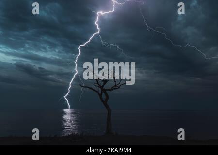 segno dall'alto, un fulmine colpisce il mare sullo sfondo di un albero asciutto e solitario Foto Stock