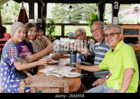 Gruppo di famiglia felice che pranzano e che fanno una tostatura al ristorante. Foto Stock