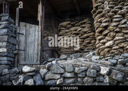 Tezek, carburante ecologicamente puro del villaggio di Khanalig, regione di Quba, Azerbaigian. I mattoni sono fatti di concime e fieno. In passato, questo tipo di bio-combustibile era ampiamente utilizzato in Azerbaigian. Per la gente di Khanalig è il senso più economico ottenere il combustibile perché non ci sono alcuni alberi per ottenere il legno sull'altezza che vivono. ( (Foto di Oleksandr Rupeta/NurPhoto) *** si prega di utilizzare il credito dal campo di credito *** Foto Stock