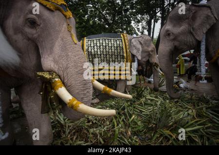 Gli elefanti reali e i mahouts dalla provincia di Ayuthaya mangia al comando di difesa territoriale Headquarte prima di dirigersi davanti al Grand Palace per pagare il defunto Thailand King Bhumibol Adulyadej a Bangkok, Thailandia il 08 novembre 2016. (Foto di Guillaume Payen/NurPhoto) *** Please use Credit from Credit Field *** Foto Stock