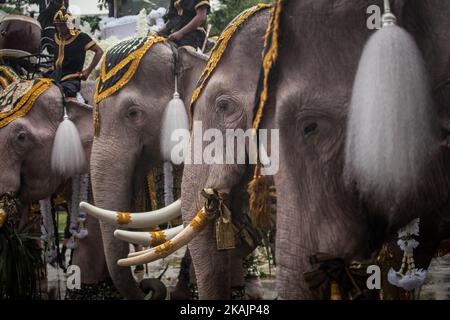 Elefanti reali e mahouts dalla Provincia di Ayuthaya prendere vestito al comando di difesa territoriale Headquarte prima di dirigersi davanti al Grand Palace per pagare rispetto alla fine Thailandia re Bhumibol Adulyadej a Bangkok, Thailandia il 08 novembre 2016. (Foto di Guillaume Payen/NurPhoto) *** Please use Credit from Credit Field *** Foto Stock