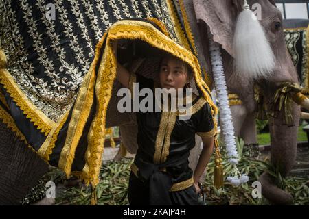 Elefanti reali e mahouts dalla Provincia di Ayuthaya prendere vestito al comando di difesa territoriale Headquarte prima di dirigersi davanti al Grand Palace per pagare rispetto alla fine Thailandia re Bhumibol Adulyadej a Bangkok, Thailandia il 08 novembre 2016. (Foto di Guillaume Payen/NurPhoto) *** Please use Credit from Credit Field *** Foto Stock