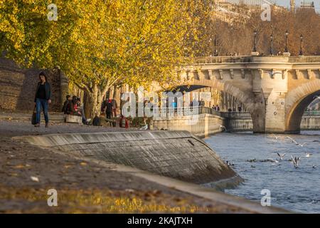 Parigi, la Città della luce è la capitale più visitata del worldÂ il 24 novembre 2016. La città è orgogliosa dei suoi numerosi monumenti (Torre Eiffel, Cattedrale di Notre-Dame, Arco di Trionfo, ...). I turisti possono vedere i monumenti (in foto) anche lungo la riva del fiume della Senna. Il fiume Senna scorre proprio attraverso il cuore di Parigi. (Foto di Julien Mattia/NurPhoto) *** Please use Credit from Credit Field *** Foto Stock