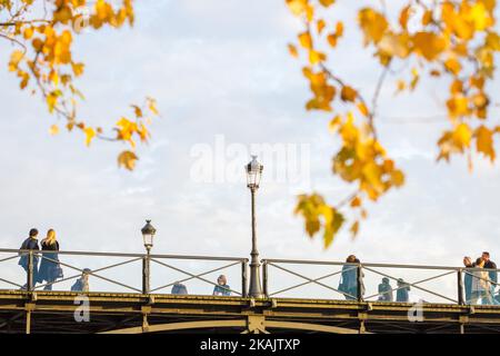 Parigi, la Città della luce è la capitale più visitata del worldÂ il 24 novembre 2016. La città è orgogliosa dei suoi numerosi monumenti (Torre Eiffel, Cattedrale di Notre-Dame, Arco di Trionfo, ...). I turisti possono vedere i monumenti (in foto) anche lungo la riva del fiume della Senna. Il fiume Senna scorre proprio attraverso il cuore di Parigi. (Foto di Julien Mattia/NurPhoto) *** Please use Credit from Credit Field *** Foto Stock