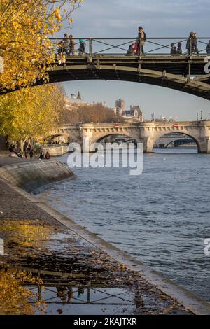 Parigi, la Città della luce è la capitale più visitata del worldÂ il 24 novembre 2016. La città è orgogliosa dei suoi numerosi monumenti (Torre Eiffel, Cattedrale di Notre-Dame, Arco di Trionfo, ...). I turisti possono vedere i monumenti (in foto) anche lungo la riva del fiume della Senna. Il fiume Senna scorre proprio attraverso il cuore di Parigi. (Foto di Julien Mattia/NurPhoto) *** Please use Credit from Credit Field *** Foto Stock