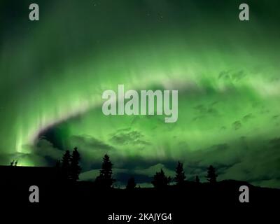 Una ripresa ad angolo basso di luci verdi polari o settentrionali, note anche come aurora borealis, nel cielo scuro, e silhouette di alberi e case sottostanti, in Alaska Foto Stock