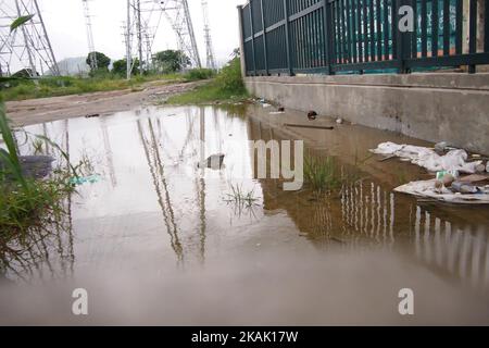 In Brasile, la stagione delle piogge inizia con l'avvicinarsi dell'estate. L'acqua piovana si accumula in pozzanghere e rifiuti scartati irregolarmente sulle rotaie della città e questo aumenta la popolazione di zanzare in grado di trasmettere malattie. Secondo i dati del Ministero della Salute, in 2016 1.946.765 casi di Dengue, Zika Virus e Chikungunya sono stati registrati, che hanno causato la morte di 734 persone. In questa immagine, è possibile vedere spazzatura e l'acqua accumulata sui binari ferroviari che trasportano passeggeri nella regione metropolitana di Rio de Janeiro il 15 dicembre 2016. Immondizia e scrub accumulano ra Foto Stock