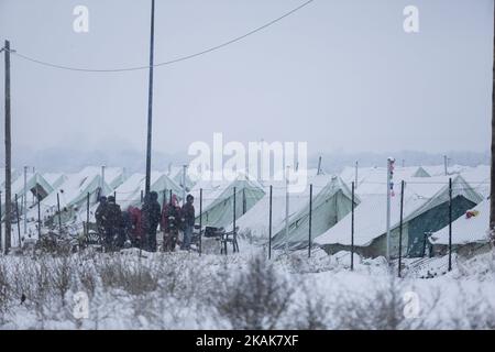 Neve, vento e temperature inferiori a -10Â°C nel campo profughi di Vagiohori. Questo campo ha rifugiati che vivono in tende fatte per le condizioni estive. Non c'è elettricità, calore o anche letti all'interno delle tende. Il governo sostenuto dall'UNHCR ha deciso di spostare i rifugiati in un hotel per 14 giorni, ma alcuni di loro sono rimasti indietro perché non si fidano della volontà del governo. Credono che saranno deportati. (Foto di Nicolas Economou/NurPhoto) *** Please use Credit from Credit Field *** Foto Stock