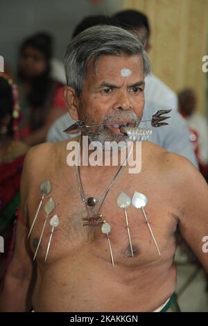 Devoto indù Tamil con piercing corpo e spiedini facciali come atto di penitenza durante il Murugan Ther Festival in un tempio indù Tamil in Ontario, Canada. I devoti si preparano alla celebrazione purificandosi attraverso la preghiera, il celibato e il digiuno per 11 o 25 giorni prima della festa. Durante questo festival religioso diversi devoti mostrano la loro devozione facendo offerte e trafiggendo la loro carne con ganci metallici e spiedini. (Foto di Creative Touch Imaging Ltd./NurPhoto) *** si prega di utilizzare il credito dal campo di credito *** Foto Stock