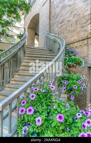 Edificio con scala esterna curvata adornata da splendide piante fiorite. Vista dal fondo della scala esterna che risale un vecchio edificio in mattoni Foto Stock