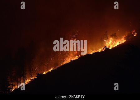 Fuoco selvaggio sulle colline di Port nell'area di Victoria Park vicino a Christchurch, Nuova Zelanda, mercoledì 15 febbraio 2017. Fino a 15 elicotteri e oltre 100 vigili del fuoco hanno combattuto contro due massicci incendi boschivi che hanno bruciato oltre 700 ettari dall'eruzione del lunedì sera. (Foto di Matias Delacroix/NurPhoto) *** Please use Credit from Credit Field *** Foto Stock
