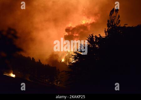 Fuoco selvaggio sulle colline di Port nell'area di Victoria Park vicino a Christchurch, Nuova Zelanda, mercoledì 15 febbraio 2017. Fino a 15 elicotteri e oltre 100 vigili del fuoco hanno combattuto contro due massicci incendi boschivi che hanno bruciato oltre 700 ettari dall'eruzione del lunedì sera. (Foto di Matias Delacroix/NurPhoto) *** Please use Credit from Credit Field *** Foto Stock