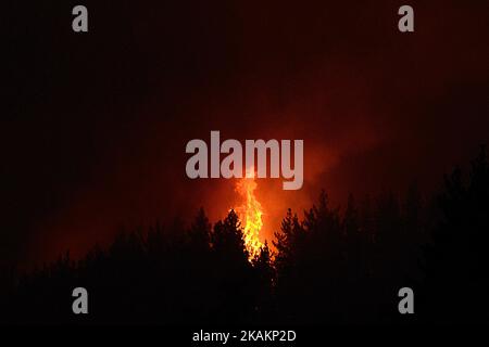 Fuoco selvaggio sulle colline di Port nella zona di Worsleys vicino Christchurch, Nuova Zelanda, mercoledì 15 febbraio 2017. Fino a 15 elicotteri e oltre 100 vigili del fuoco hanno combattuto contro due massicci incendi boschivi che hanno bruciato oltre 700 ettari dall'eruzione del lunedì sera. (Foto di Matias Delacroix/NurPhoto) *** Please use Credit from Credit Field *** Foto Stock