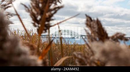 Dai sentieri sterrati di Gardiners Park Bay Shore Long Island, ammira le erbacce e l'erba della spiaggia ai Great South Bay Bridges. Foto Stock