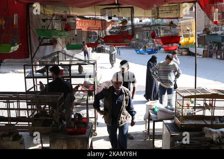 La vita quotidiana nella zona di Douma, nei pressi di Damasco, dopo la firma del cessate il fuoco Memorandum alla Conferenza di Astana ØŒ Siria, 6 maggio 2017. (Foto di Samer Bouidani/NurPhoto) *** Please use Credit from Credit Field *** Foto Stock