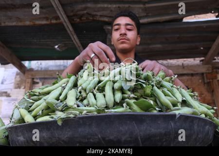 La vita quotidiana nella zona di Douma, nei pressi di Damasco, dopo la firma del cessate il fuoco Memorandum alla Conferenza di Astana ØŒ Siria, 6 maggio 2017. (Foto di Samer Bouidani/NurPhoto) *** Please use Credit from Credit Field *** Foto Stock