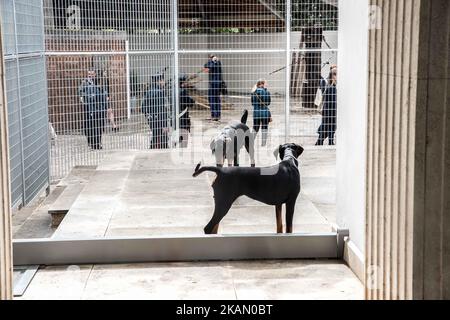 Gli attori si esibiscono in 'Faust' dell'artista tedesco Anne Imhof durante l'anteprima stampa della 57th° Biennale Internazionale d'Arte, il 9 maggio 2017 a Venezia. La mostra, intitolata 'viva Arte Vivaa', è curata da Christine Macel e sarà aperta al pubblico dal 13 maggio al 26 novembre 2017 presso i Giardini e l'Arsenale. (Foto di Giacomo Cosua/NurPhoto) *** Please use Credit from Credit Field *** Foto Stock