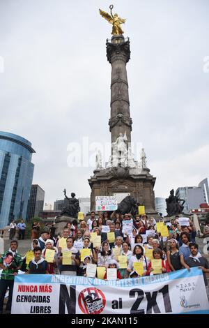 La gente partecipa a una protesta 'né dimenticanza né perdono' contro di genocidi e persone scomparse del Messico e dell'Argentina ad Angel of Independence il 10 maggio 2017 a Città del Messico, Messico (Foto di Carlos Tischler/NurPhoto) *** Please use Credit from Credit Field *** Foto Stock