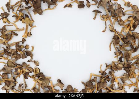 Cornice rotonda di funghi finferli essiccati. Sfondo grigio chiaro. Al centro è presente uno spazio per un'iscrizione o un logo. Yellowfoot. Foto Stock