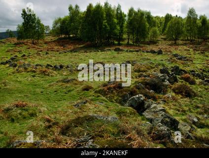 Visualizza SW dell'insediamento di New Kinord Iron Age di case con pareti in pietra, magazzini, un sistema di campo e vialetti, Aberdeenshire, Scozia, Regno Unito. Foto Stock