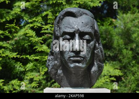 Una vista del busto di Fryderyk Chopin di Zofia Wolska, visto all'interno del parco che circonda il museo natale di Chopin dedicato al compositore, situato in un piccolo villaggio di Zelazowa Wola, 46km km a ovest di Varsavia. Venerdì 7 luglio 2017 a Varsavia, Polonia. (Foto di Artur Widak/NurPhoto) *** Please use Credit from Credit Field *** Foto Stock