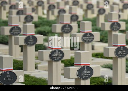 FOTO DEL file del 20 luglio 2017 scattata a Lviv, che mostra il cimitero dei difensori di Lwow (noto anche come cimitero degli Eaglet di Lwow), luogo di sepoltura per i polacchi e i loro alleati che sono morti a Lwow durante la guerra polacco-Ucraina (1918?1919). Il Ministero degli Affari Esteri dell'Ucraina ha considerato un "passo sfavorevole" per inserire all'interno del nuovo passaporto polacco un disegno grafico con il motivo del Cimitero degli Eaglet di Leopoli. L'Ambasciatore di Polonia a Kiev, Jan Pieklo, ha ricevuto una nota diplomatica in merito. "Abbiamo voluto rendere omaggio a tutti coloro che hanno versato sangue per la libertà della Polonia, tutti i thos Foto Stock