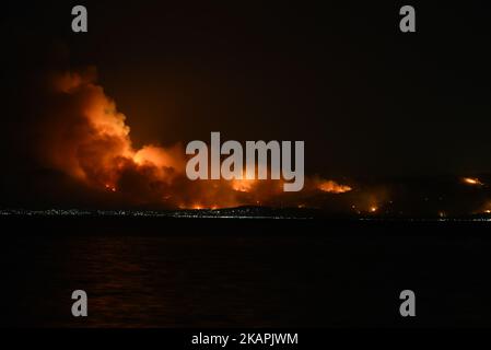 Il 14 agosto 2017, a Kalamos Attika, ad Amarynthos, in Grecia, si sono bruciate massicce case di fuoco selvatico. (Foto di Wassilios Aswestopoulos/NurPhoto) *** Please use Credit from Credit Field *** Foto Stock