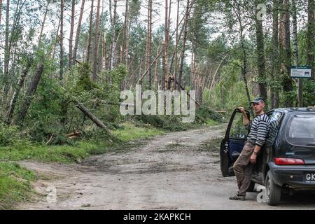 L'uomo che guarda gli alberi caduti nella foresta si vede vicino al villaggio di Sylczno , nel nord della Polonia il 14 agosto 2017 tempeste che venerdì 11th, notte di agosto e sabato mattina spazzato via il paese ha ucciso sei persone e danneggiato migliaia di case. Trentamila ettari di foresta sono stati distrutti. (Foto di Michal Fludra/NurPhoto) Foto Stock