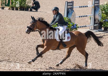 Il pilota svedese Peder Fredricson su H&M all in Rides nella gara di qualificazione dei Campionati europei FEI 2017 allo stadio Ullevi di Gothenburg, Svezia il 23 agosto 2017 (Foto di Julia Reinhart/NurPhoto) Foto Stock