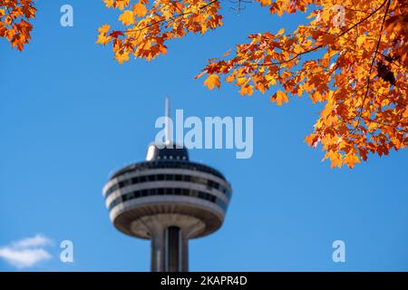 Cascate del Niagara, Ontario, Canada - Ottobre. Skylon Tower, autunno acero foglie sul cielo blu. Fogliame autunnale a Niagara Falls City. Foto Stock