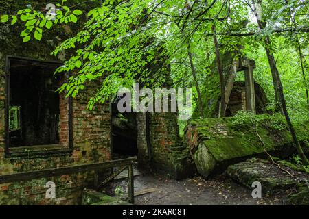 Le persone che camminano presso le rovine di Lair Wolf sono viste il 2 settembre 2017 a Gierloz , Polonia. Lair di Wolf (ger. Wolfsschanze) rovine del quartier generale della guerra di Adolf Hilter è una città nascosta nel bosco composta da 200 edifici: Rifugi, caserme, 2 aeroporti, una centrale elettrica, una stazione ferroviaria, condizionatori d'aria, forniture d'acqua, impianti di generazione di calore e due teleprinter. (Foto di Michal Fludra/NurPhoto) Foto Stock