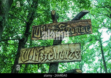 Le persone che camminano presso le rovine di Lair Wolf sono viste il 2 settembre 2017 a Gierloz , Polonia. Lair di Wolf (ger. Wolfsschanze) rovine del quartier generale della guerra di Adolf Hilter è una città nascosta nel bosco composta da 200 edifici: Rifugi, caserme, 2 aeroporti, una centrale elettrica, una stazione ferroviaria, condizionatori d'aria, forniture d'acqua, impianti di generazione di calore e due teleprinter. (Foto di Michal Fludra/NurPhoto) Foto Stock