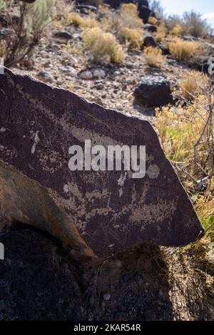 Uno scatto verticale di un antico petroglifo al Canyon di Boca Negra nel New Mexico Foto Stock