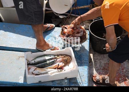 Vendita di pesce nel porto di pesca del piccolo villaggio di Cetara Foto Stock