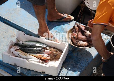 Vendita di pesce nel porto di pesca del piccolo villaggio di Cetara Foto Stock